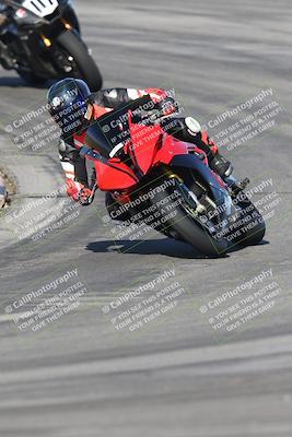 media/Nov-16-2025-Race Pace (Sun) [[8c5fa54630]]/Verified Riders/1-Turns 9 and 10 (925am)/